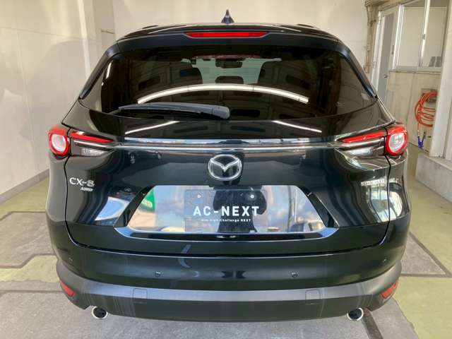 Mazda CX-8 11