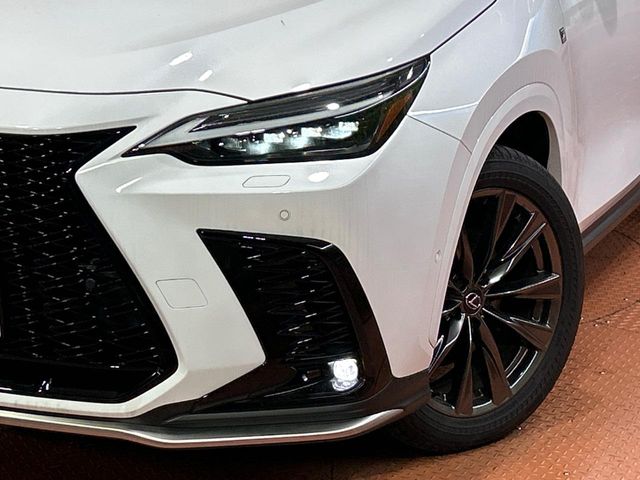 Lexus NX 12