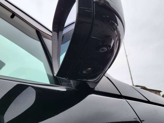 Land Rover Discovery Sport 12