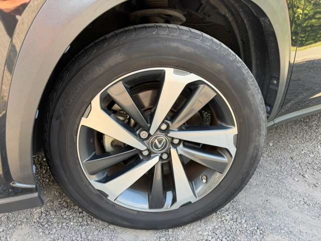 Lexus NX 11