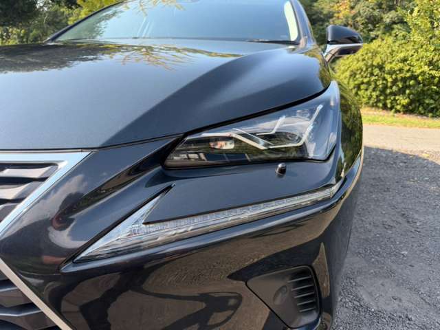 Lexus NX 7