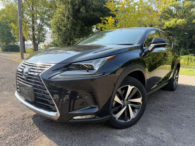 Lexus NX 9