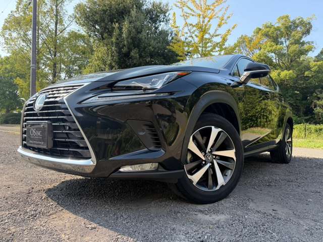 Lexus NX 10