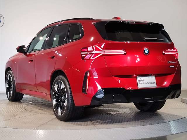 BMW X3 8