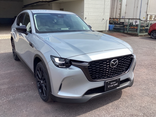 Mazda CX-60 3