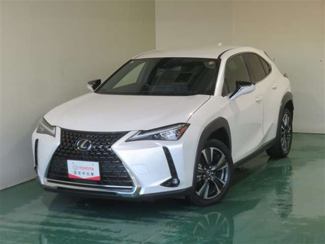 Lexus UX 12