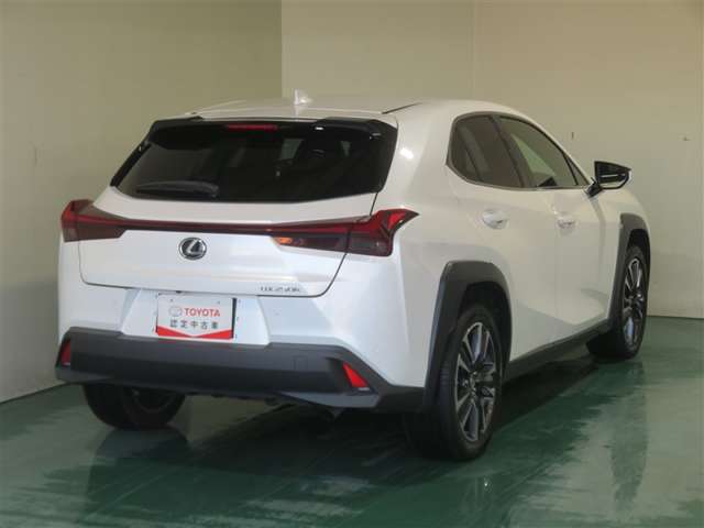 Lexus UX 8