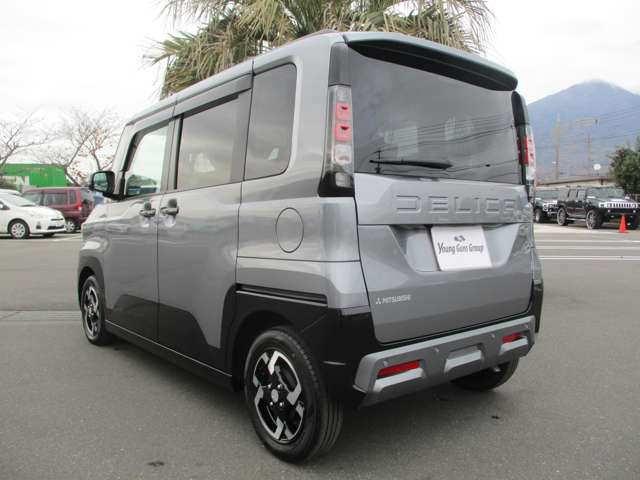 Mitsubishi Delica Mini 4
