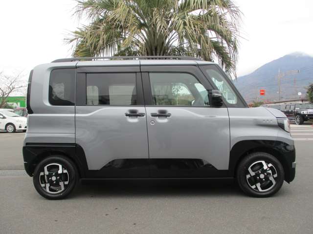 Mitsubishi Delica Mini 7