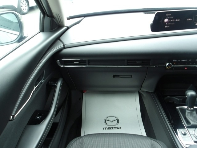 Mazda CX-30 8