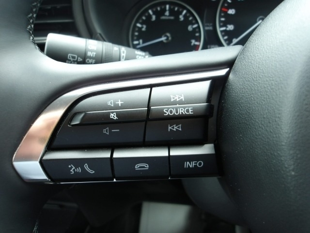 Mazda CX-30 10