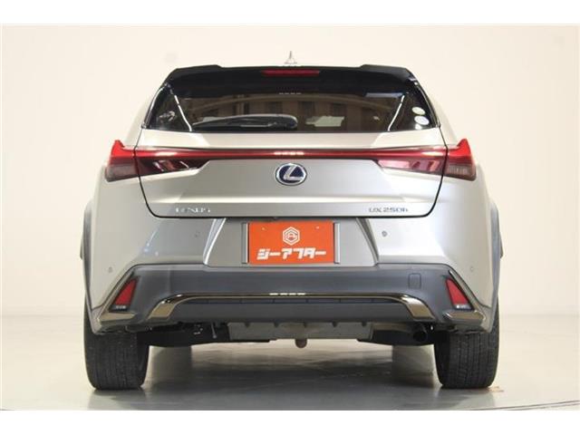 Lexus UX 11