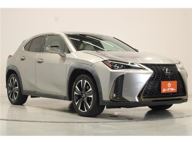 Lexus UX 6