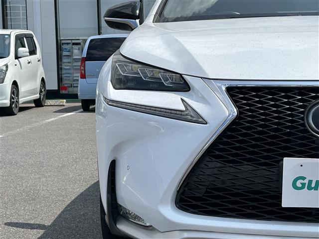 Lexus NX 6