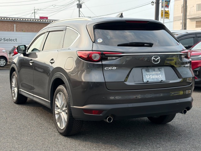 Mazda CX-8 6
