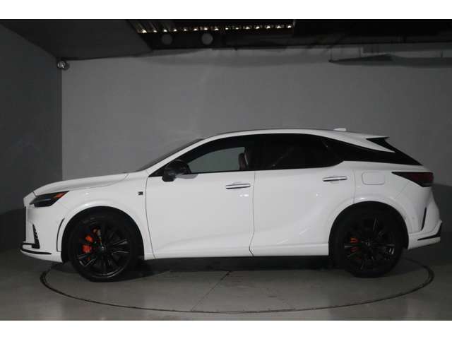 Lexus RX 11