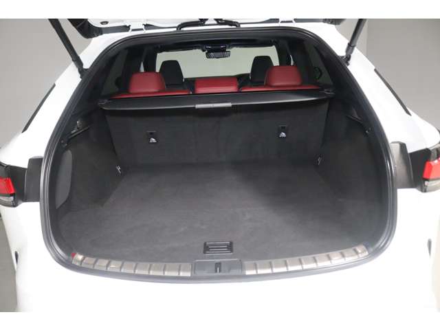 Lexus RX 12