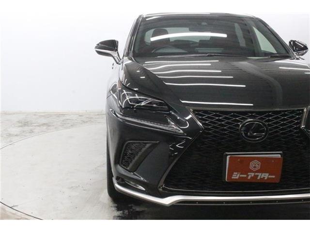 Lexus NX 12