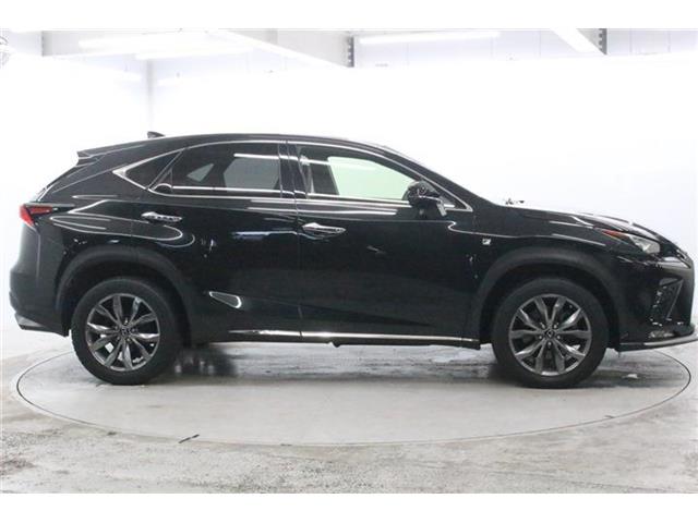 Lexus NX 5