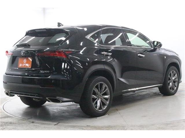 Lexus NX 6
