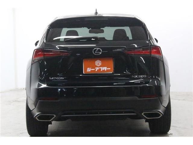 Lexus NX 7