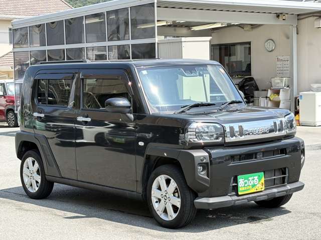 Daihatsu Taft 6