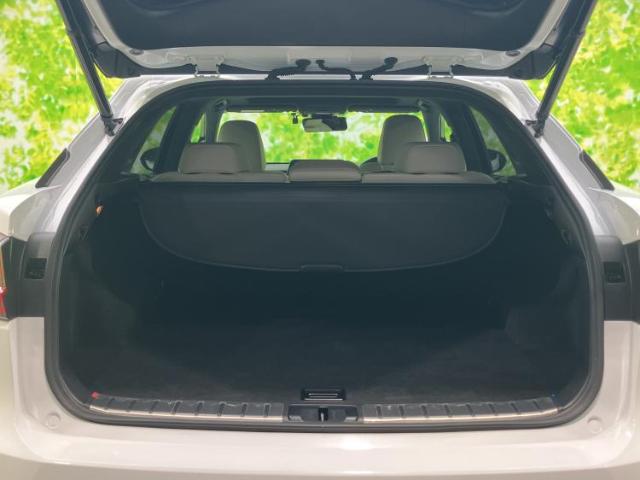 Lexus RX 10