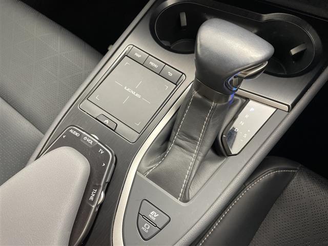 Lexus UX 11