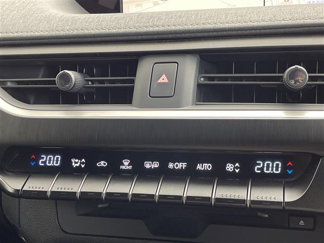 Lexus UX 10