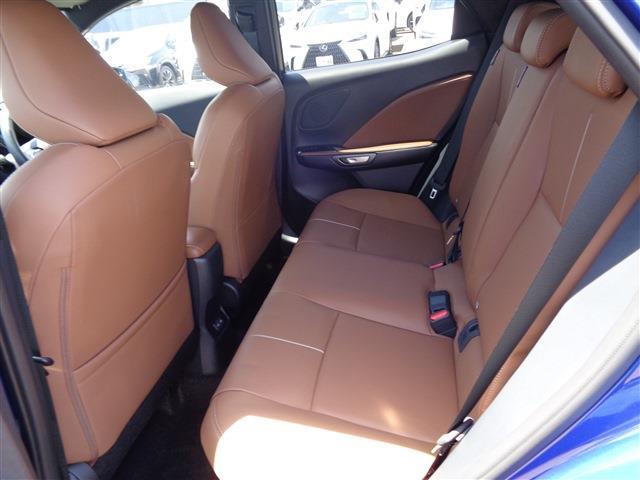 Lexus LBX 11