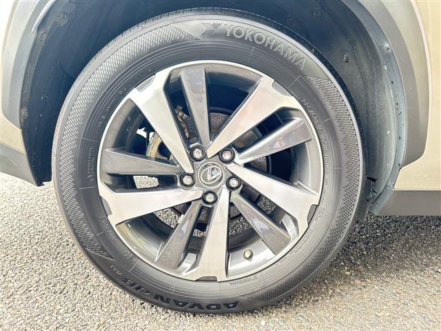 Lexus NX 12