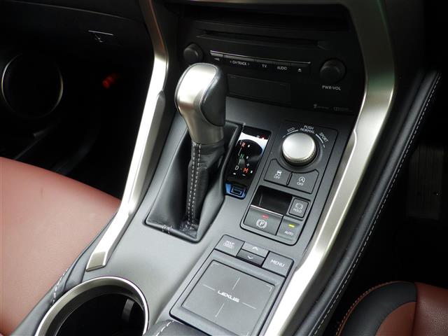 Lexus NX 11