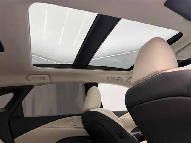 Lexus RX 12