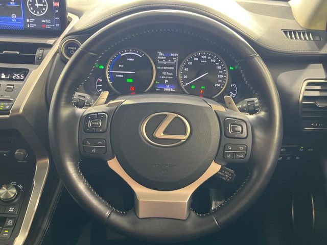 Lexus NX 12