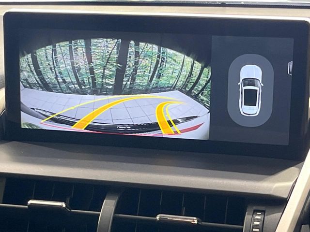 Lexus NX 4