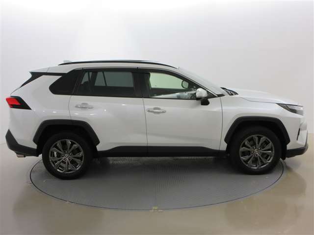 Toyota RAV4 6