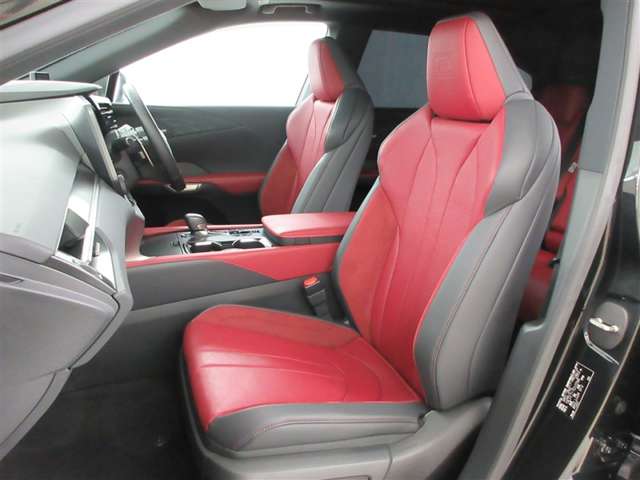 Lexus RX 11