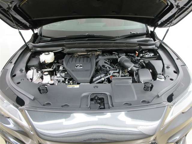 Lexus RX 9