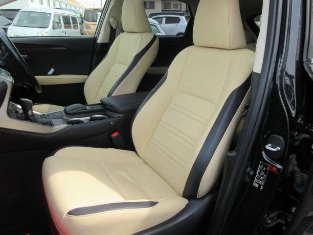 Lexus NX 6