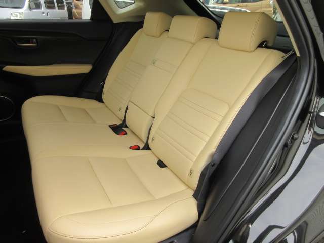 Lexus NX 7