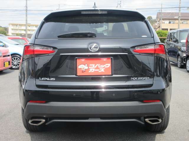 Lexus NX 10