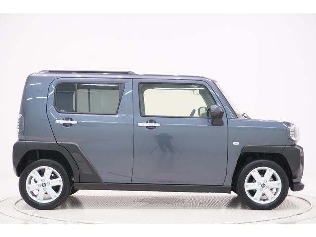 Daihatsu Taft 6