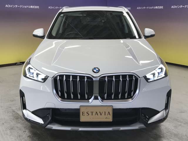BMW X1 10