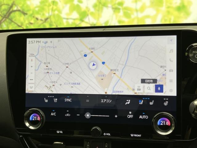 Lexus NX 11