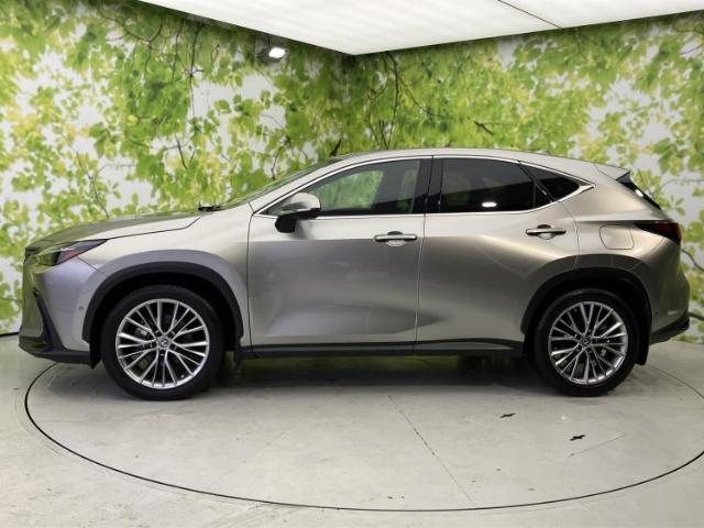 Lexus NX 5