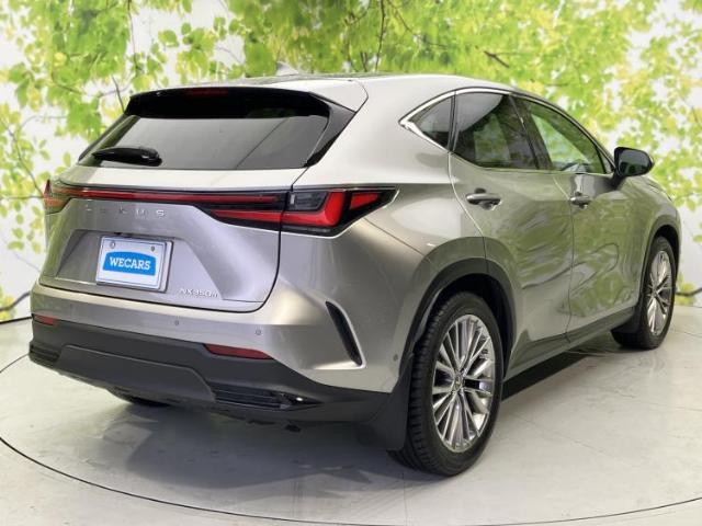Lexus NX 6