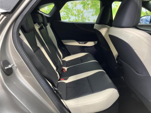 Lexus NX 7