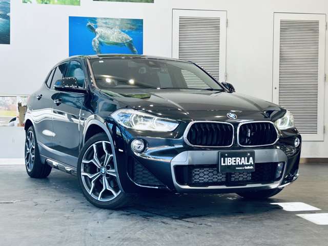 BMW X2 6