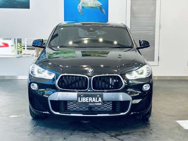 BMW X2 7