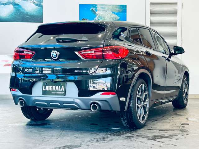 BMW X2 9